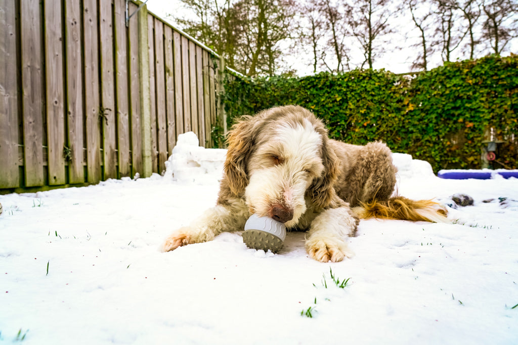 Snow outside. Calm inside.