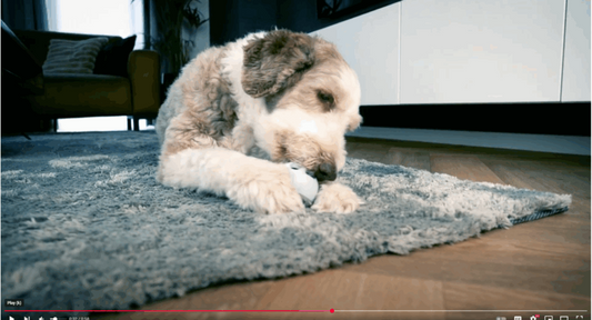 Introducing FurSicle