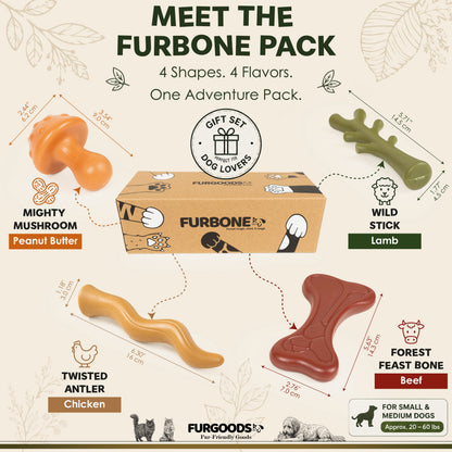 FURBONE Nylon-Hundekauspielzeuge mit Geschmack 4er-Pack, Knochen für kleine & mittelgroße Hunde