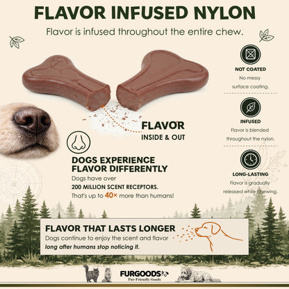 FURBONE Forest Feast Beef Flavored Nylon Dog Chew Bone, Small Medium Breeds