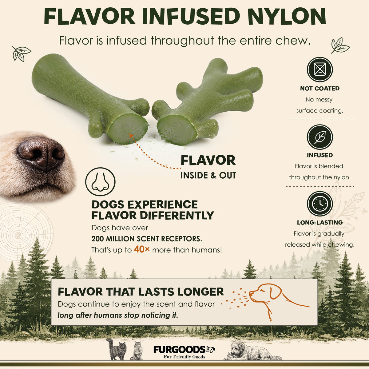 FURBONE Nylon-Hundekauspielzeuge mit Geschmack 4er-Pack, Knochen für kleine & mittelgroße Hunde